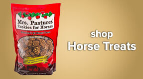 Horse Treats